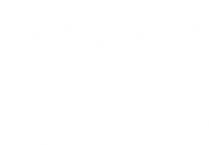 BIRN logo